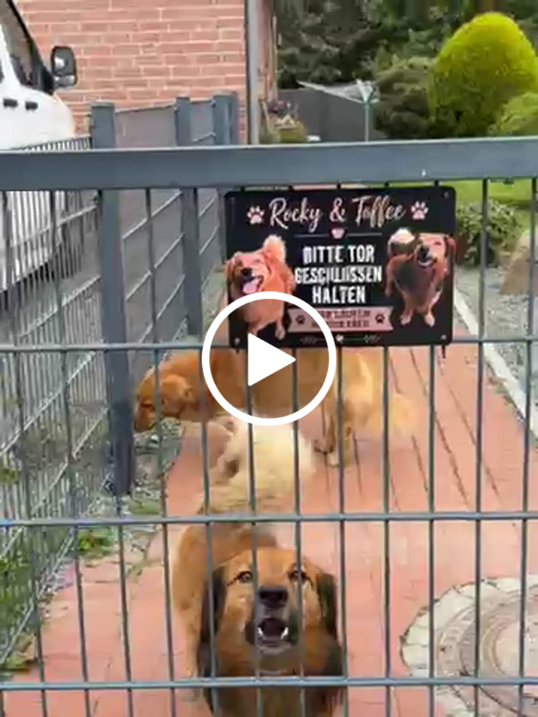 Customer video review of Hunde-Türschild personalisiert mit Foto & Text (UV- und wetterfest)