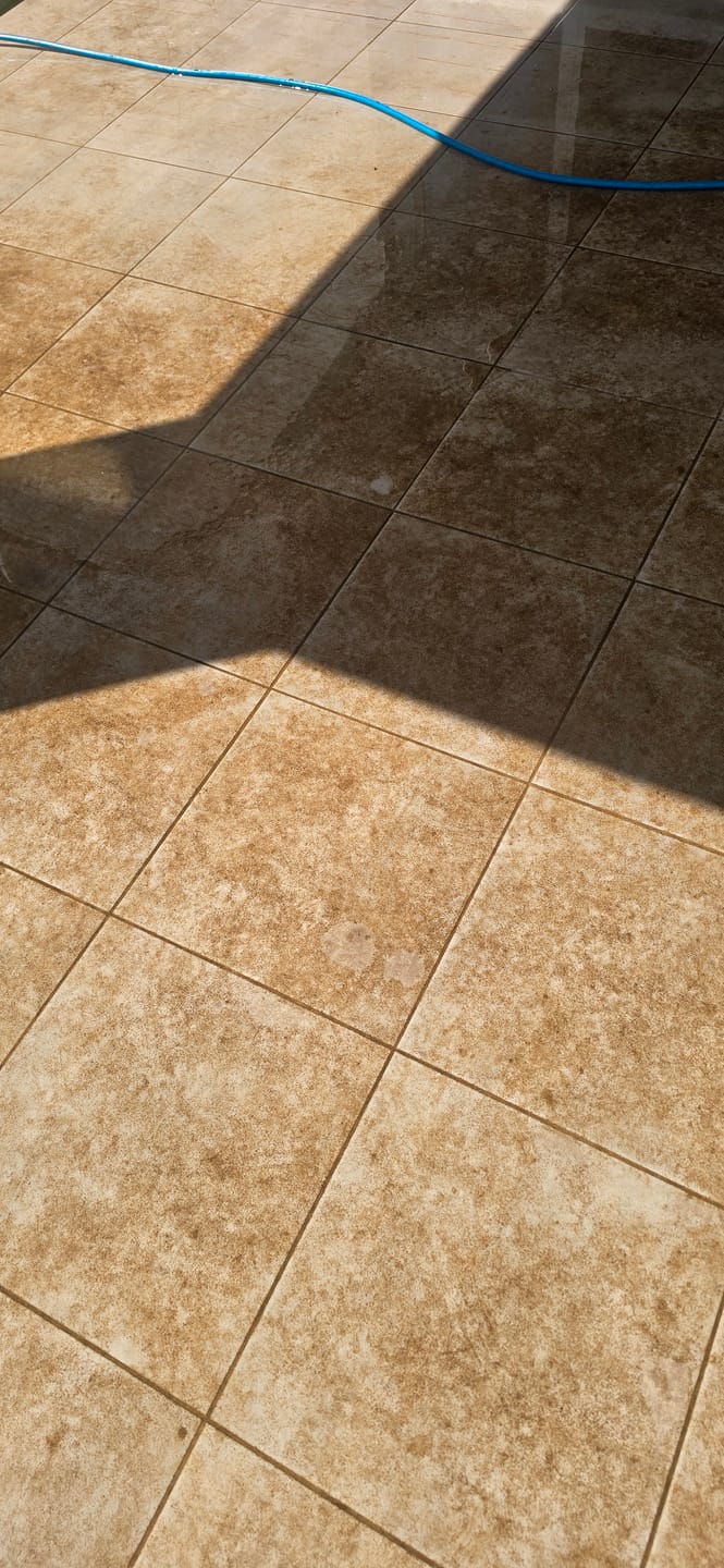 Customer photo review of SHYN Degreaser