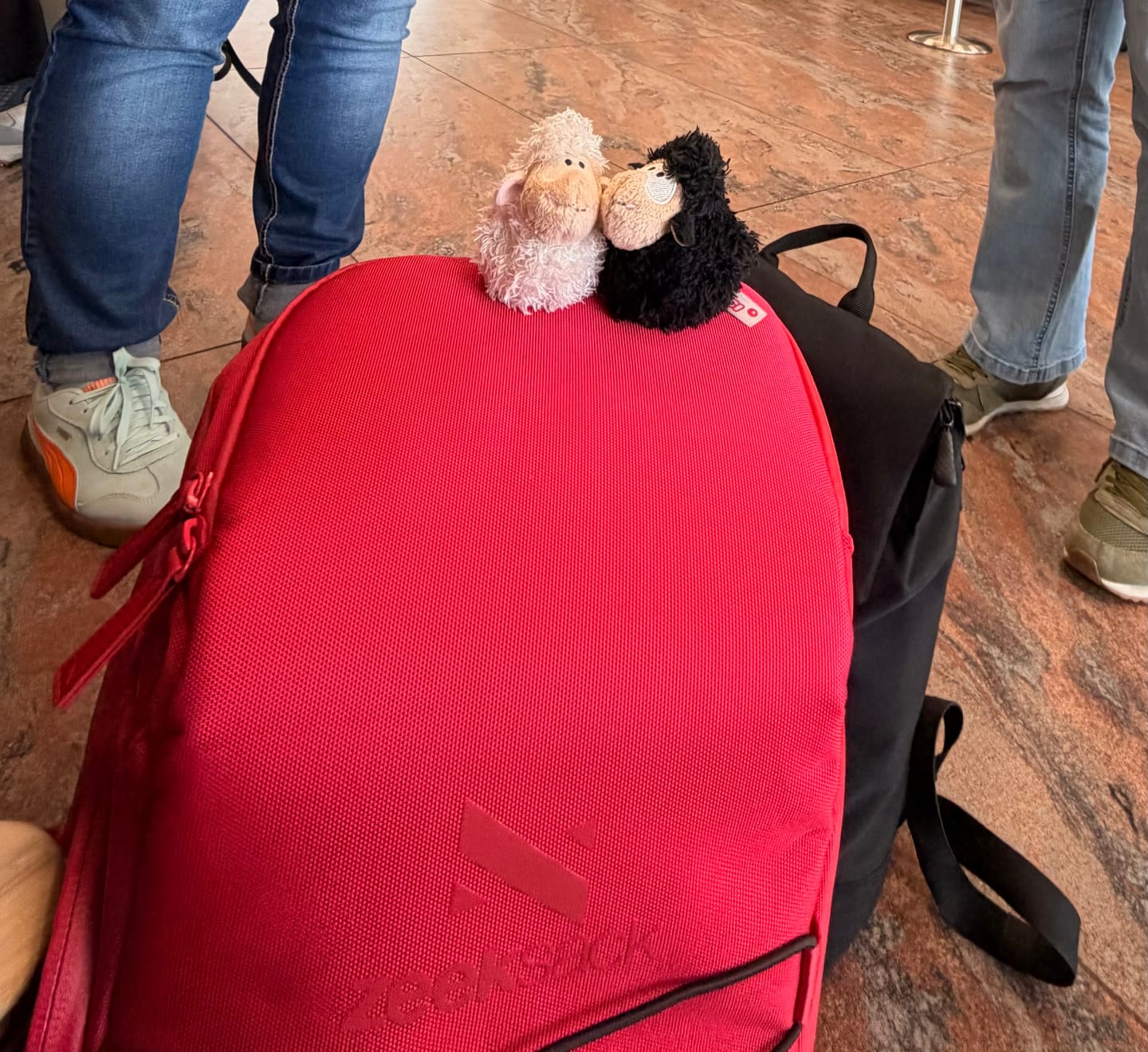 Customer photo review of The Organizer 20L