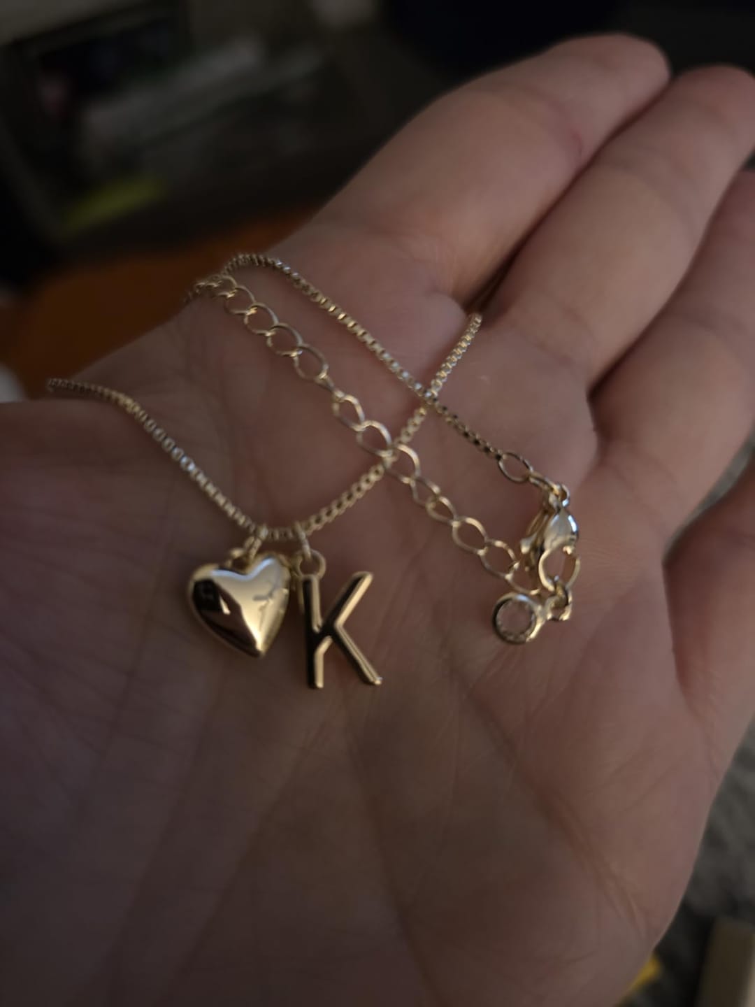 Customer photo review of 18K Gold Plated Petite Initial Heart Pendant Necklace