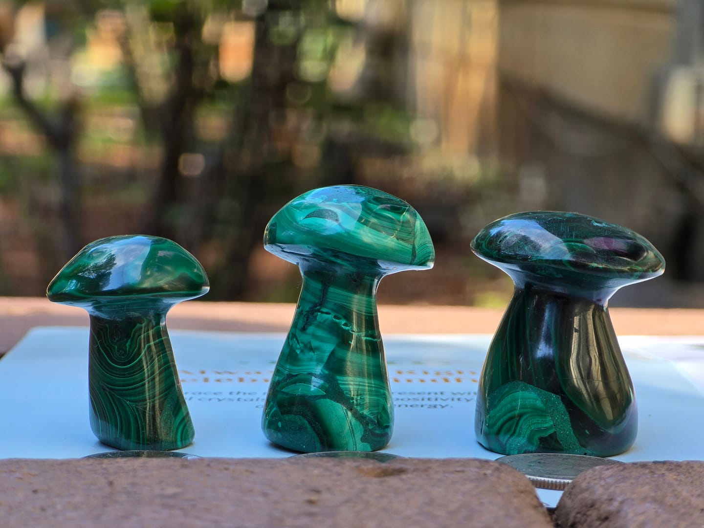 Customer photo review of Heart Healing Malachite Mushroom – Embrace Transformation