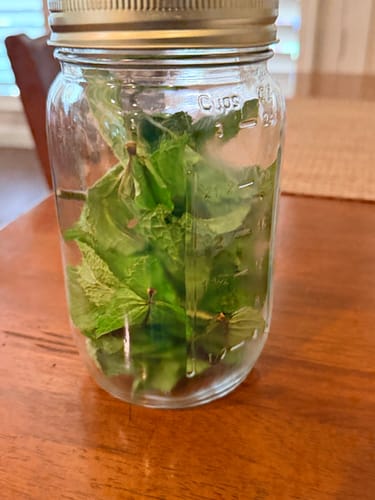 Reviewer's Mason Genie Vacuum Sealer Kit used to seal fresh green herbs inside a glass mason jar on a wooden table.