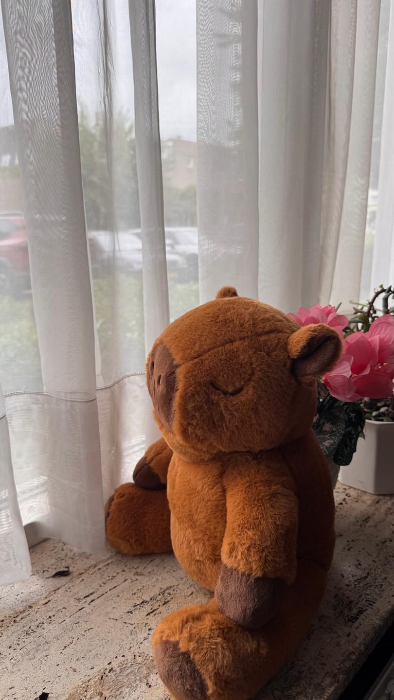 Customer photo review of Huggle Buddy Capybara Verzwaringsknuffel (2kg)