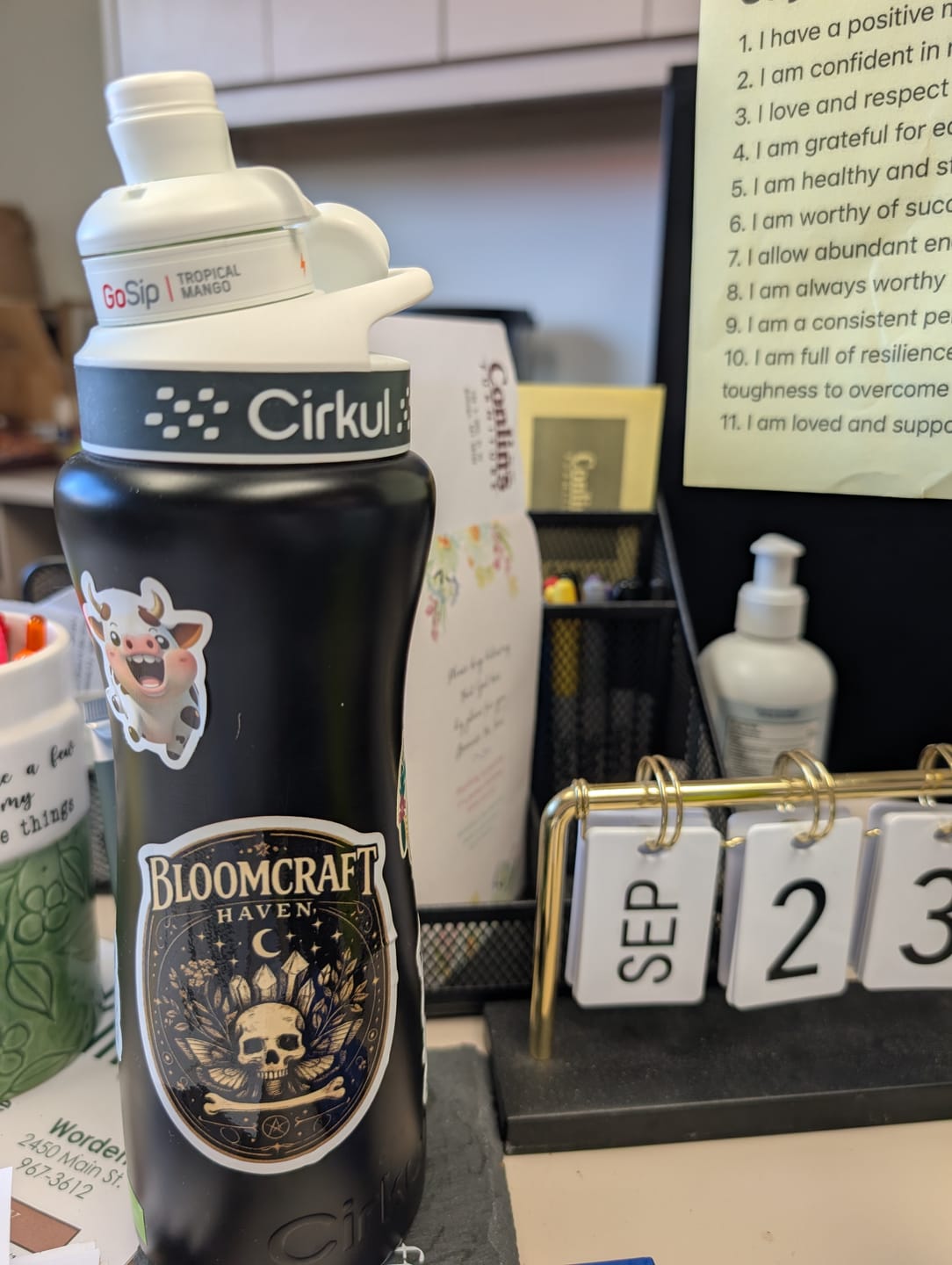 Customer photo review of GoSip® 6-Pack Variety Pack