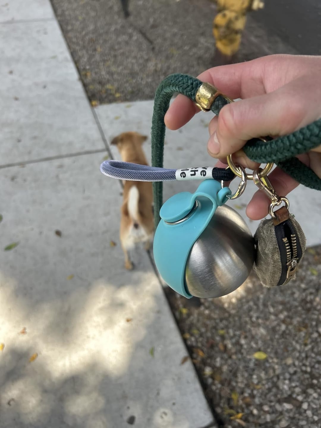 Customer photo review of Pawlytic Lab HydroLoop™ — Less Gear. More Walk.