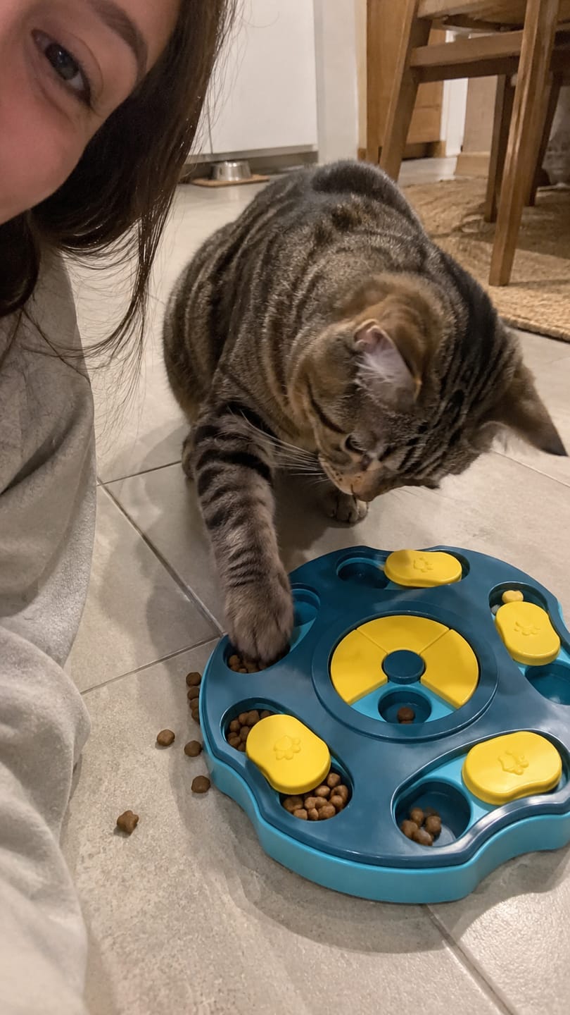 Customer photo review of Comedero Puzzle Antiestrés para Gatos