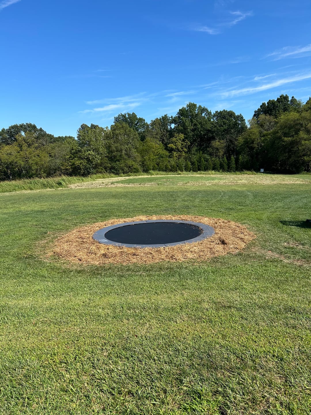 Customer photo review of 15' Round Pro-Line Avyna In-ground Trampoline