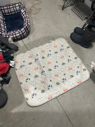 Customer photo review of Alfombra Educativa para Perros
