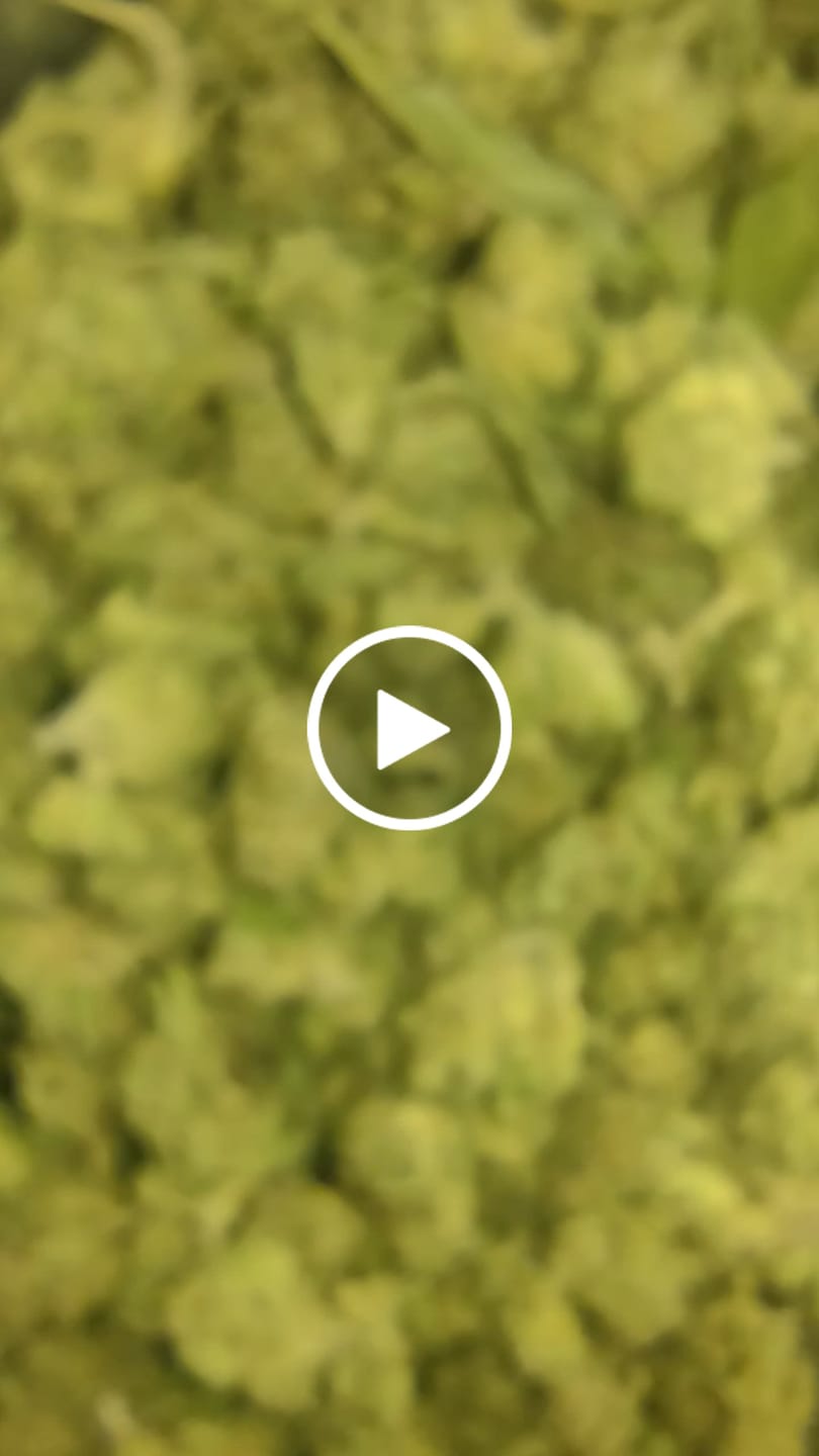 Customer video review of Cheap THCA Smalls Quarter Pound
