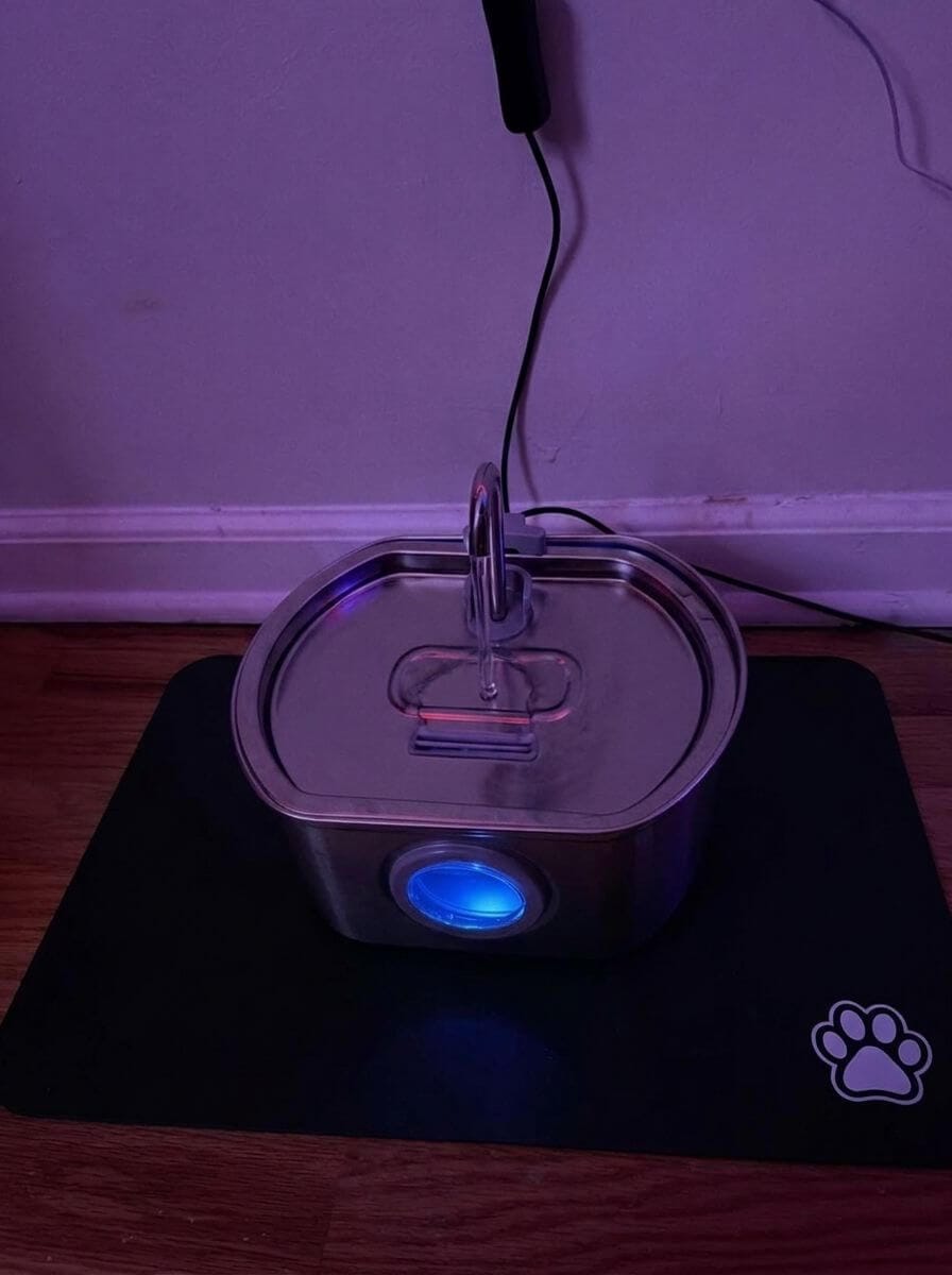 Customer photo review of Purrsteel Fresh Water Fountain