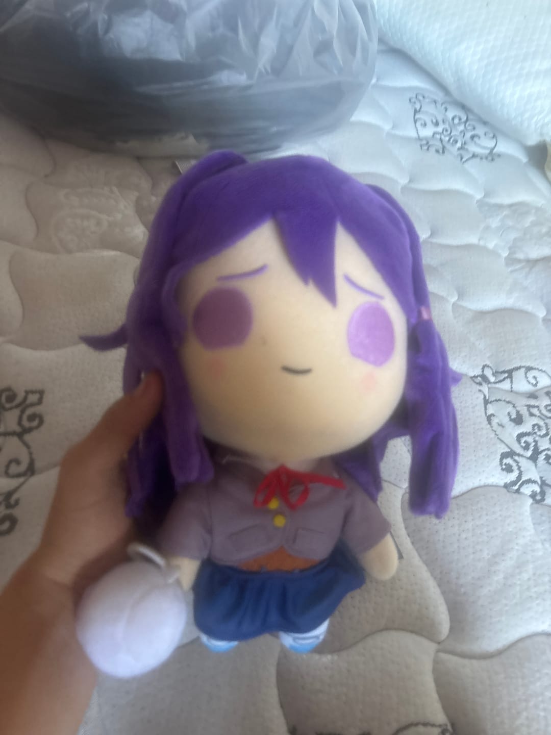 Customer photo review of Doki Doki Literature Club - Yuri Collector's Plush