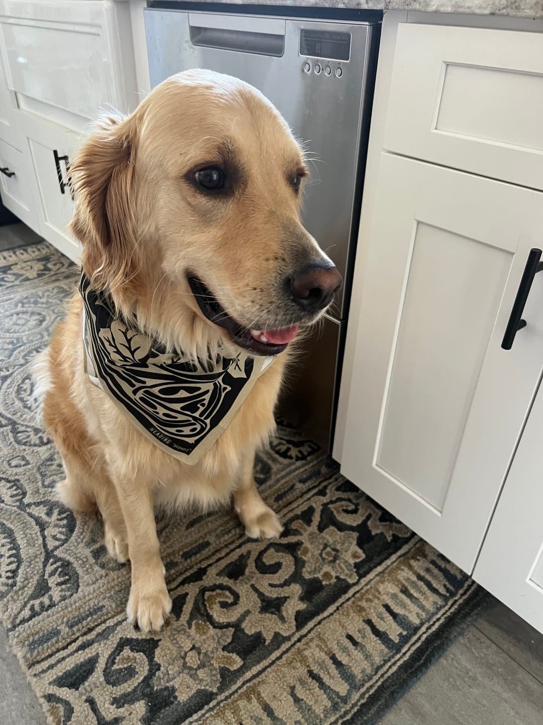 Customer photo review of Bramble Bandana