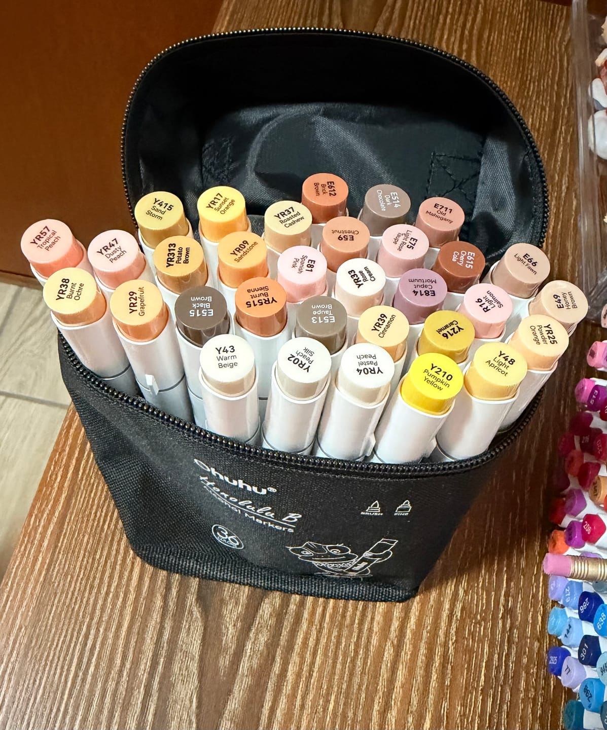 Customer photo review of Ohuhu Honolulu 36 Skin Tone Colors Dual Tips Portrait Alcohol Art Markers (New Color Codes)