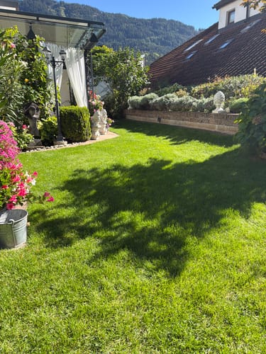 Kunden-Rasenfläche nach Anwendung des RASENBLITZ HERBSTDÜNGER mit sattem, grünem Gras im Garten.