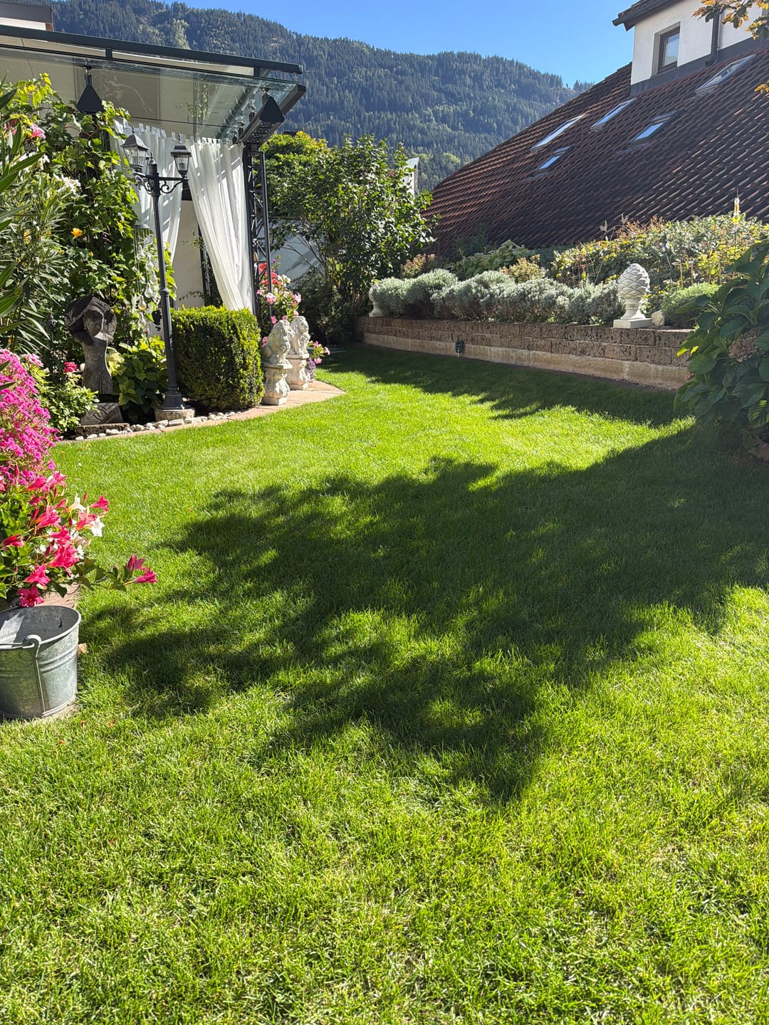Customer photo review of RASENBLITZ™ - HERBSTDÜNGER NACHFÜLLPACK