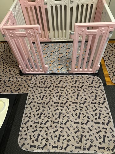 Customer photo review of Alfombra Educativa para Perros