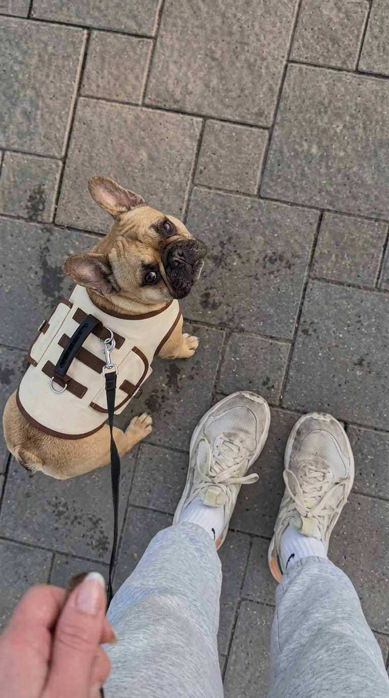 Customer photo review of PawLift™ — Juntos En Cada Paso🐾