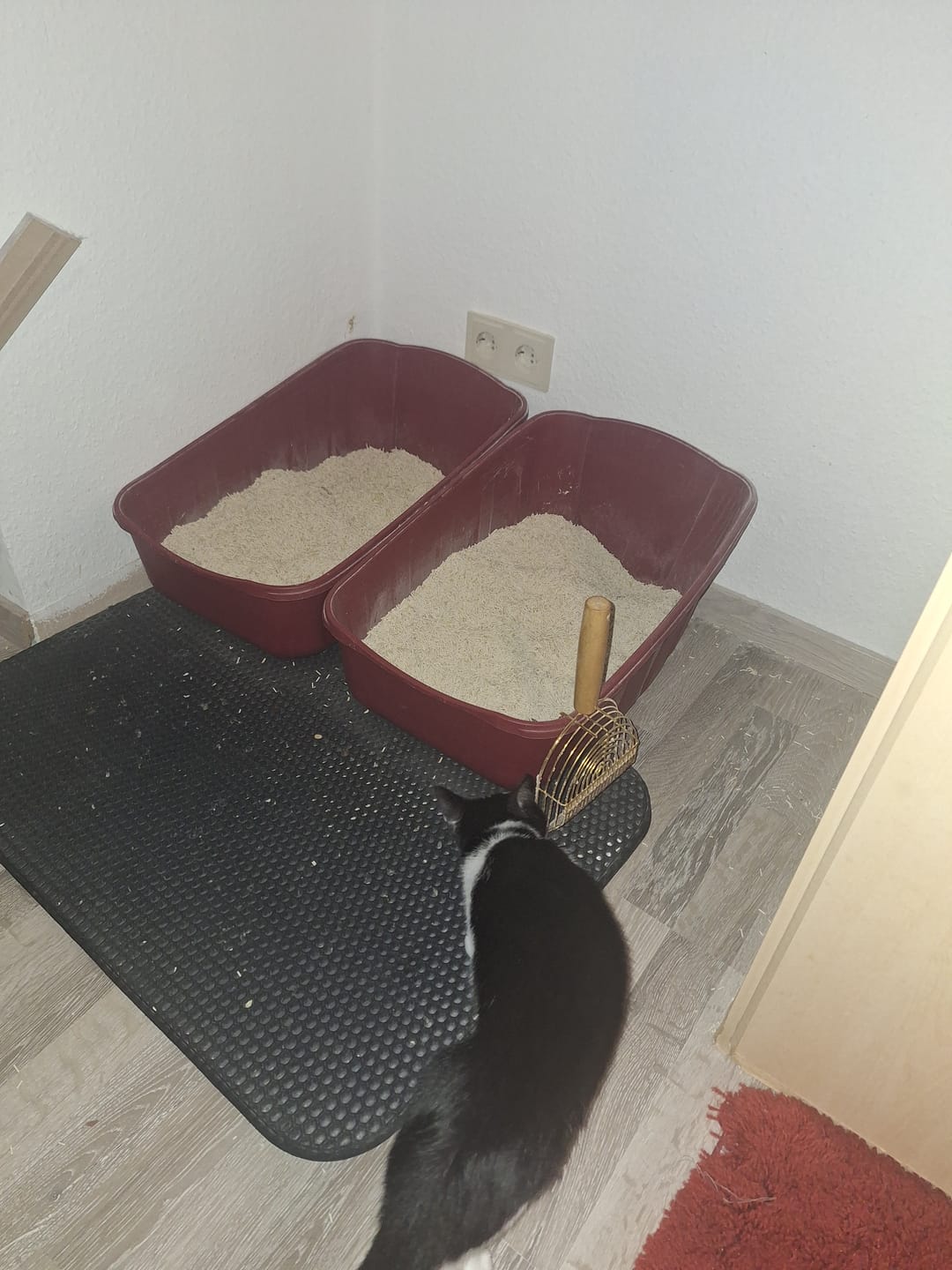 Customer photo review of Katzenstreu (Angebot)
