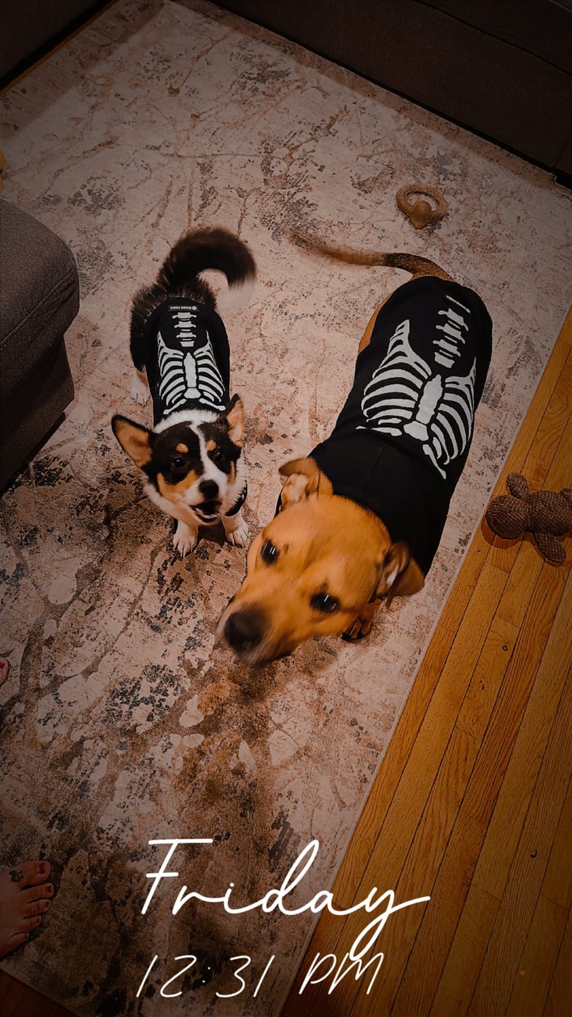 Customer photo review of Halloween Human Hoodies (Limited Edition)