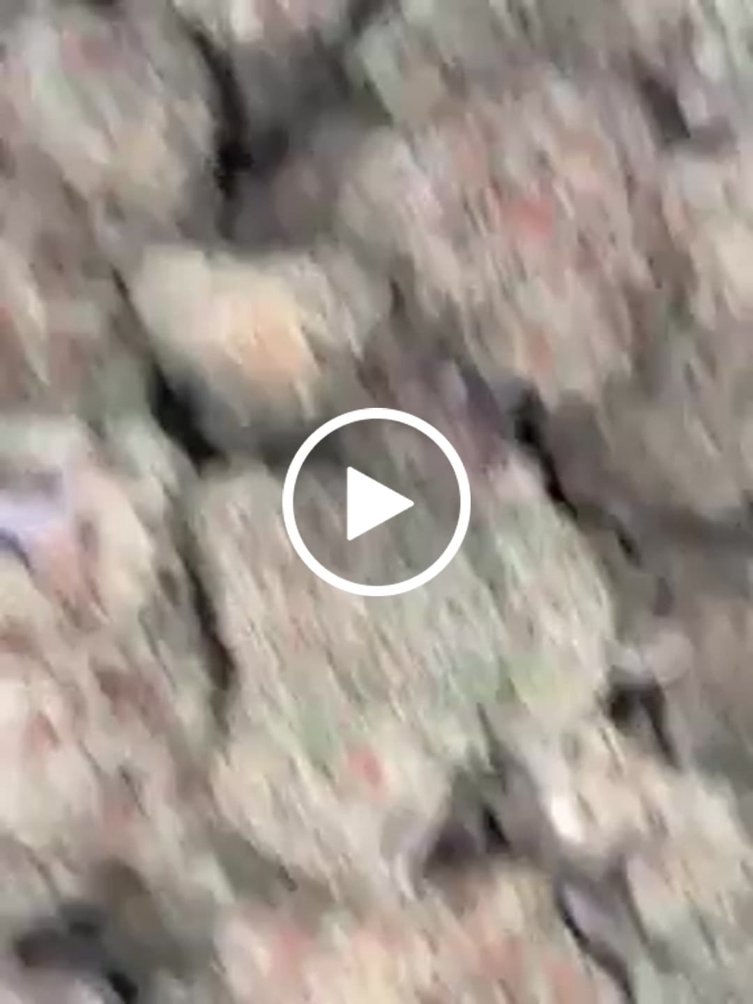 Customer video review of Acapulco Punch THCA Flower