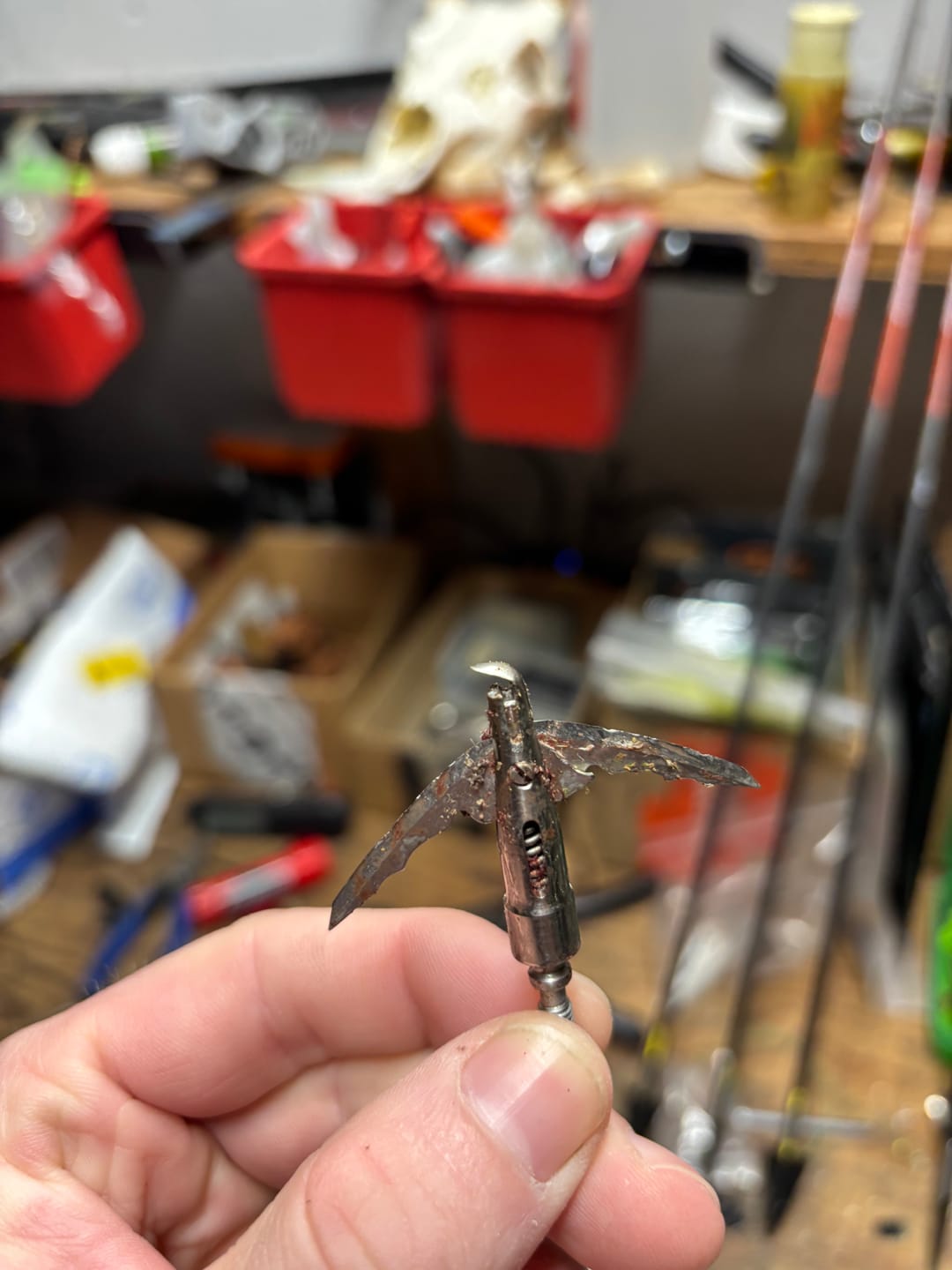 Customer photo review of Cut on Contact Titanium Broadheads (3 Pack)