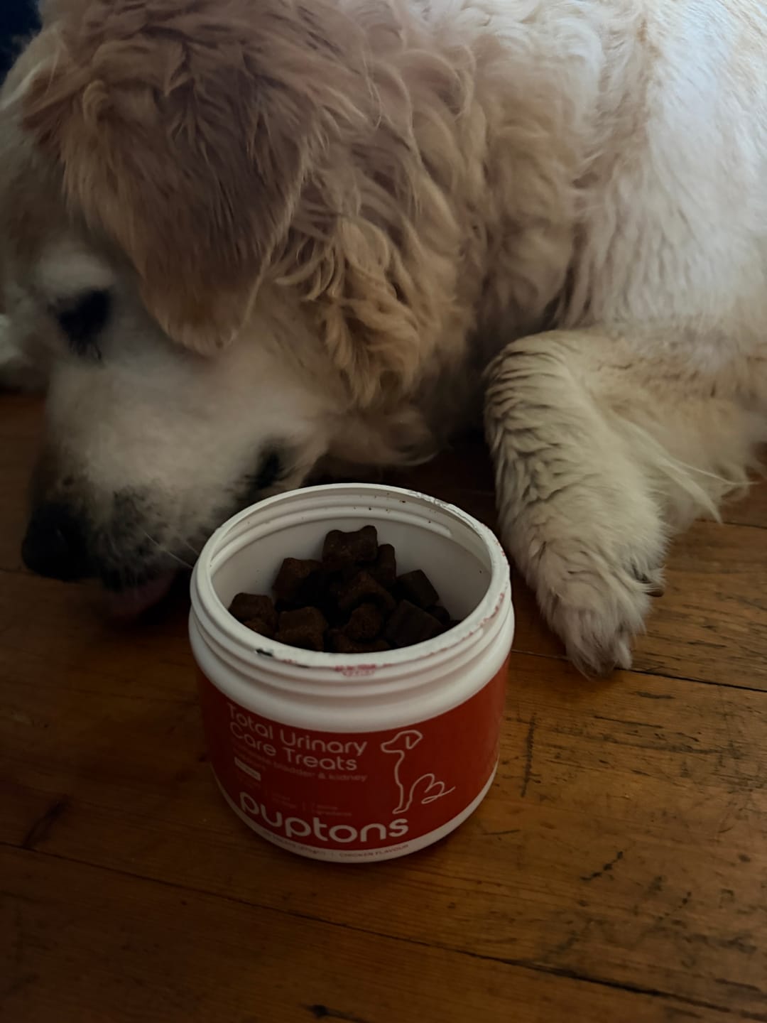 Customer photo review of Total Urinary Care Treats for Dogs