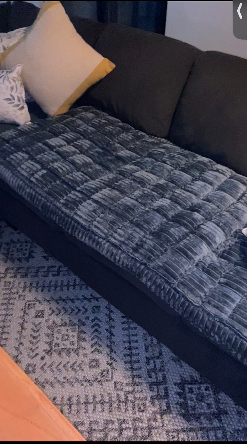 Customer photo review of Majestuoso · Protector Premium para Sofá