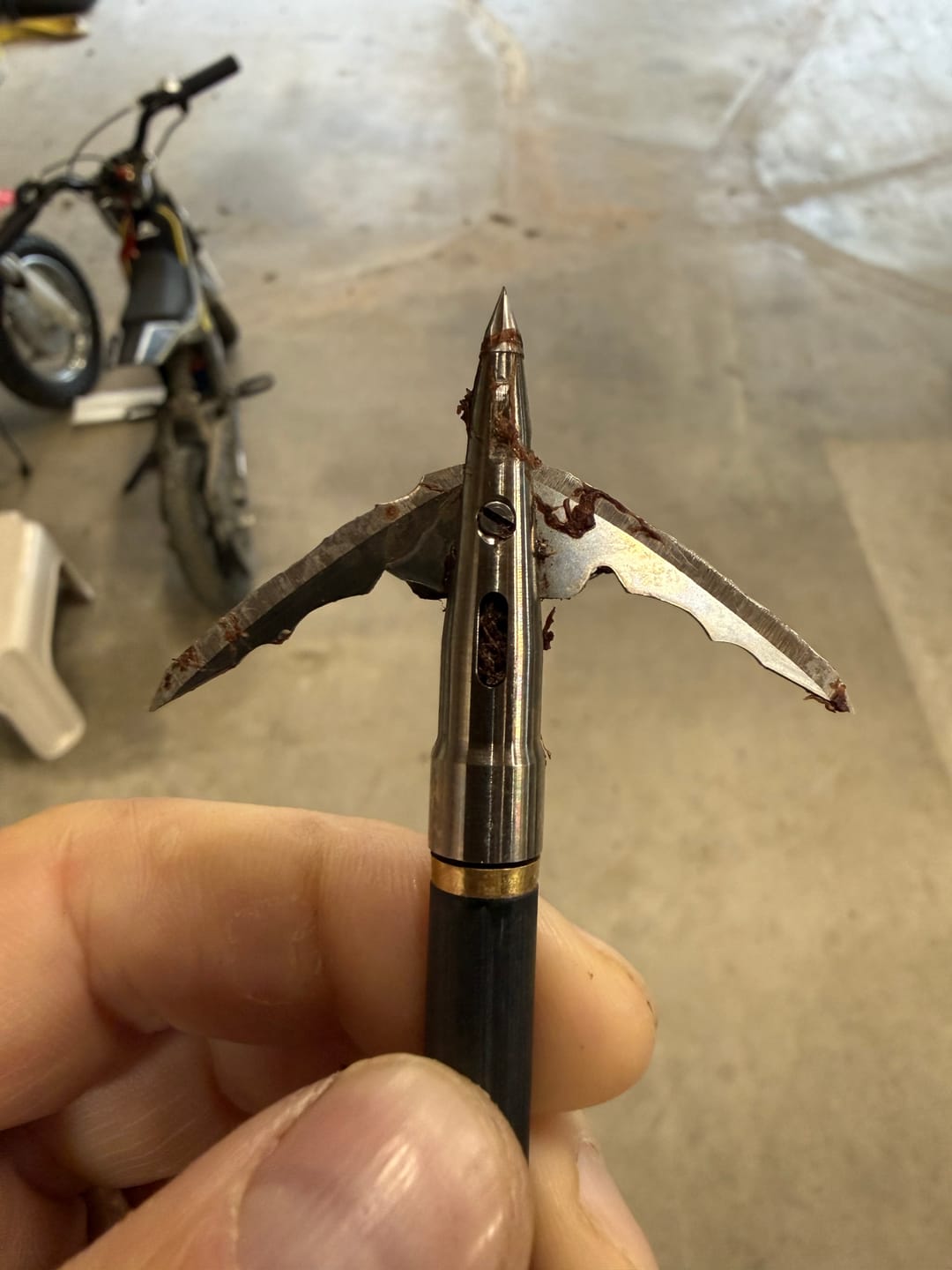 Customer photo review of Titanium Broadheads