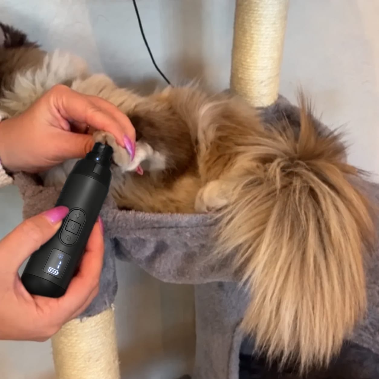Customer photo review of Glempaws™ Stress-free, Quiet, and at Home