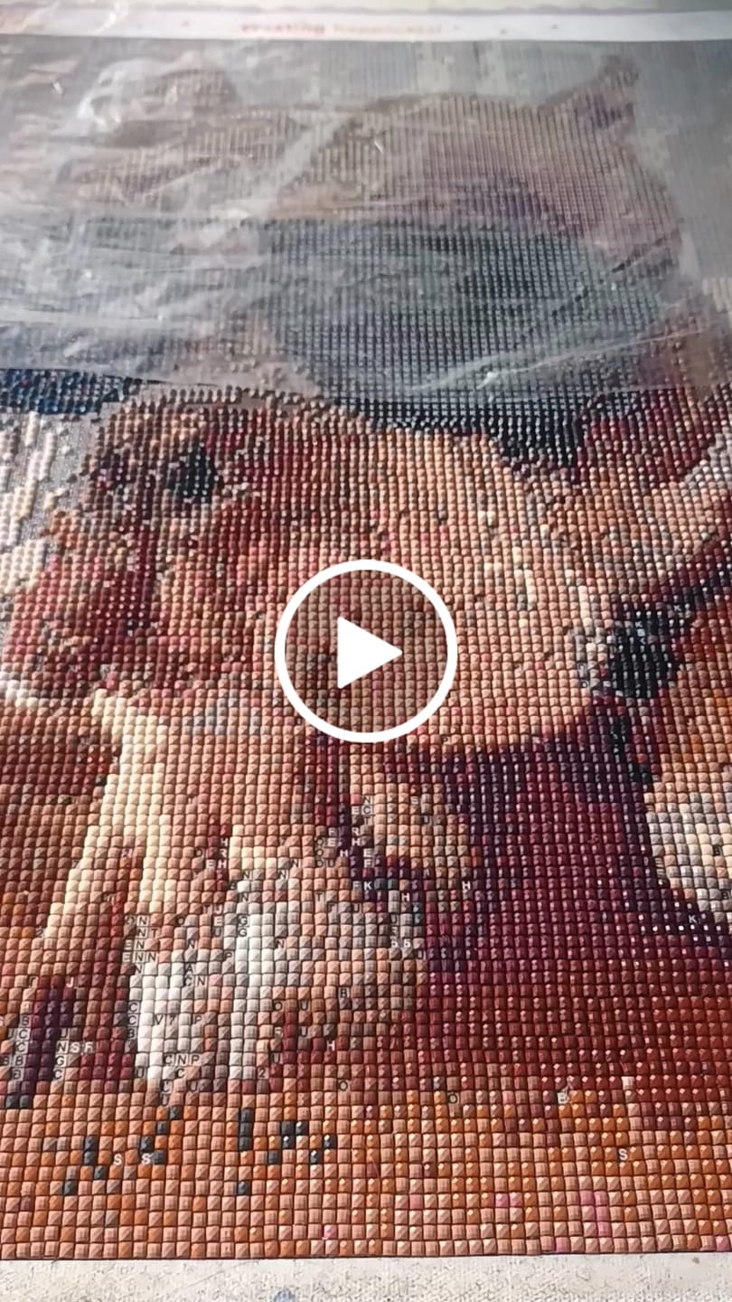 Customer video review of Eigen Foto Diamond Painting