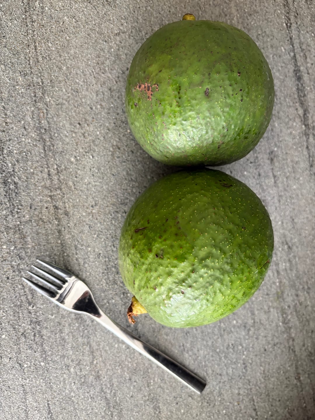 Customer photo review of Avocado Margarida (Stk. ca. 500g)
