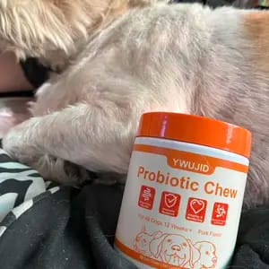 Customer photo review of Supporto Immunitario Cane Multivitaminico 8-in-1 con Probiotici