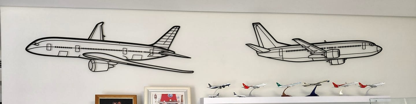 Customer photo review of 787 Angle Silhouette Metal Wall Art