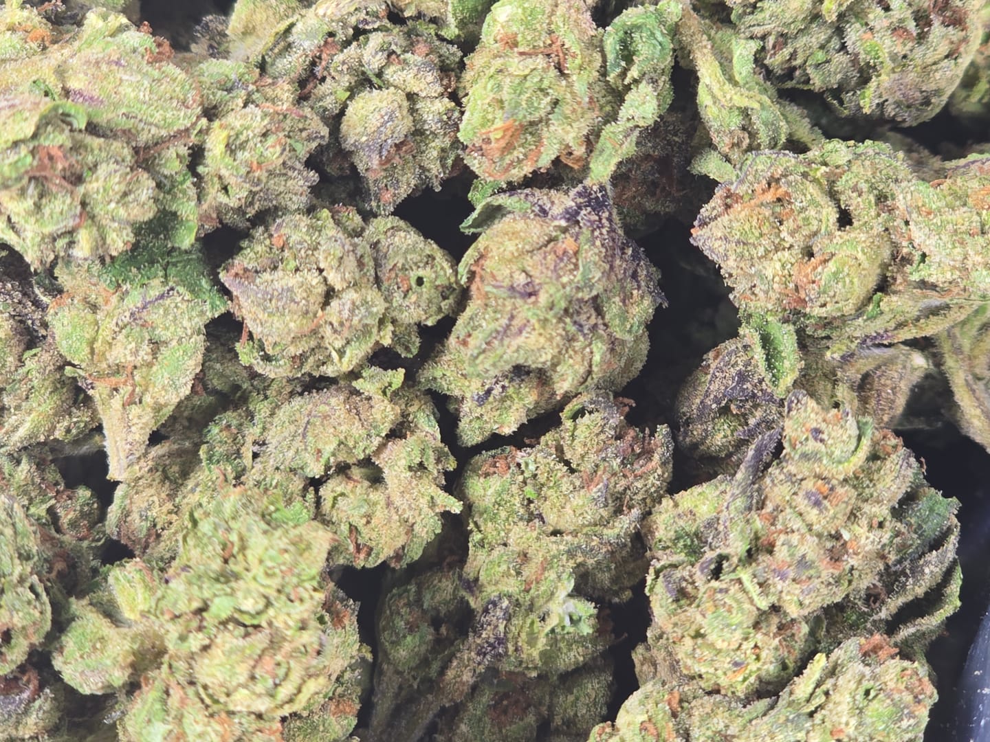 Customer photo review of Light Assist THCA Smalls