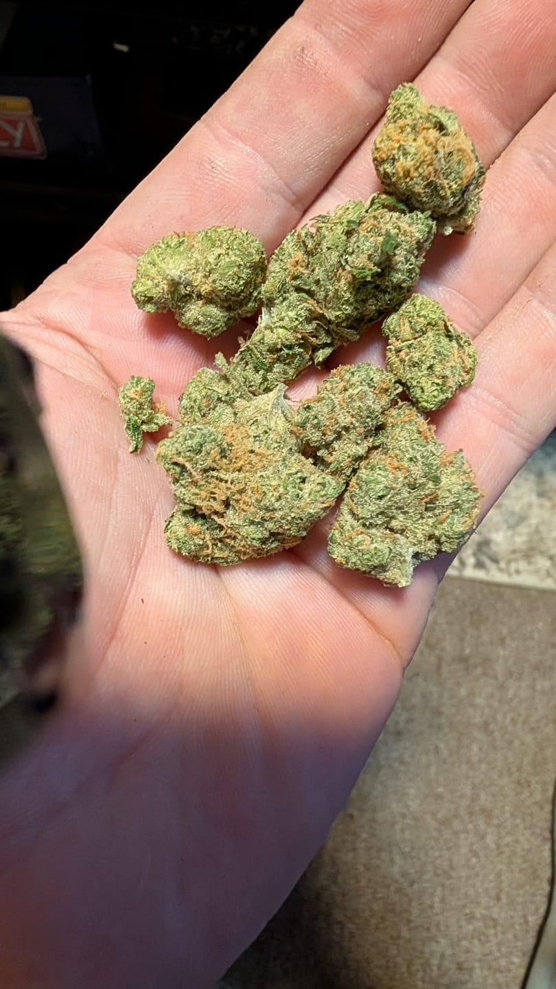 Customer photo review of Light Assist THCA Smalls