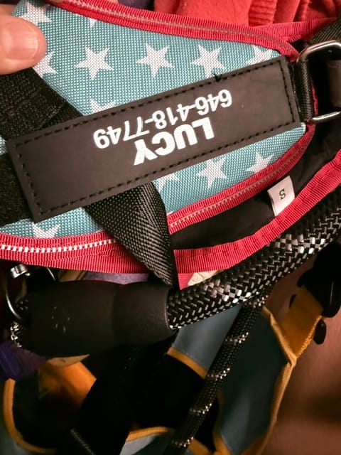 Customer photo review of Reflective Nylon Leash