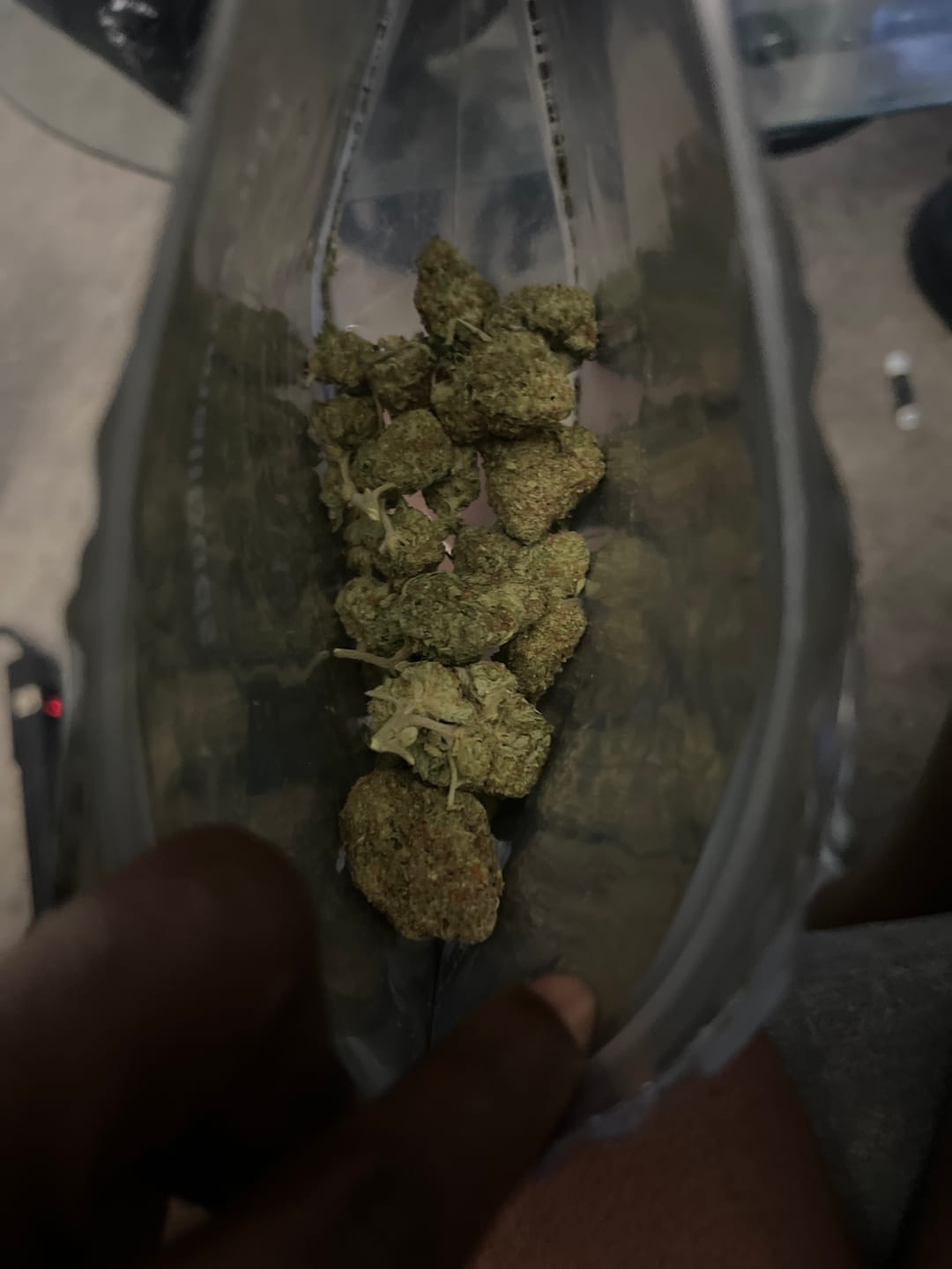 Customer photo review of Acapulco Punch THCA Flower