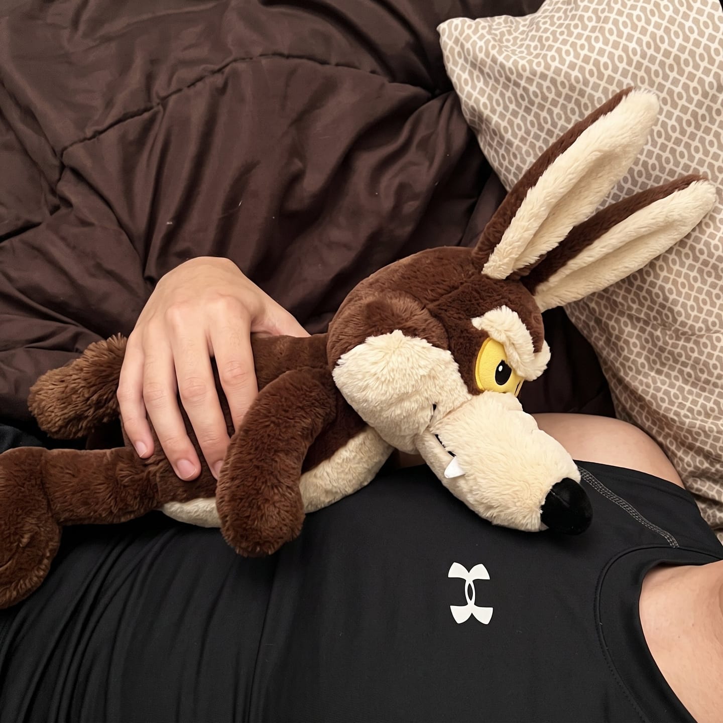 Customer photo review of ZoomiesPets™ Coyote Corredor