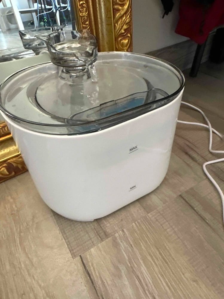 Customer photo review of Fontaine à Eau pour Chat 2,2L – Filtration Continue