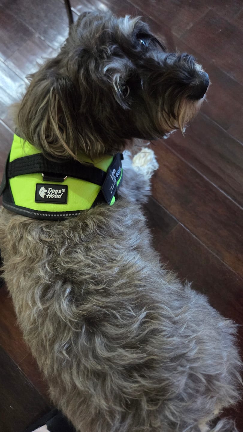 Customer photo review of Dogshood ™ Ergonomic Harness