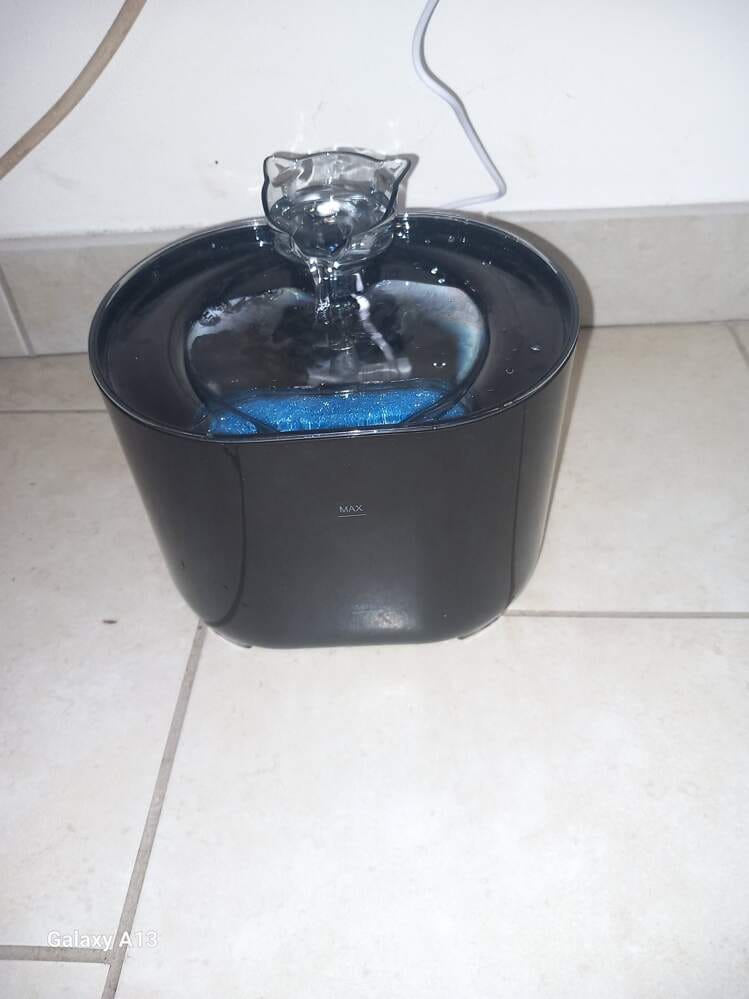 Customer photo review of Fontaine à Eau pour Chat 2,2L – Filtration Continue