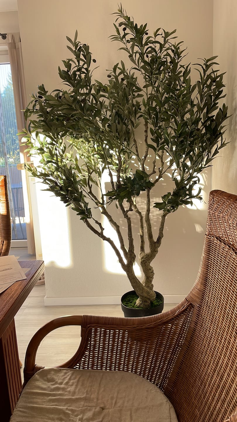 Customer photo review of Künstlicher Olivenbaum 190