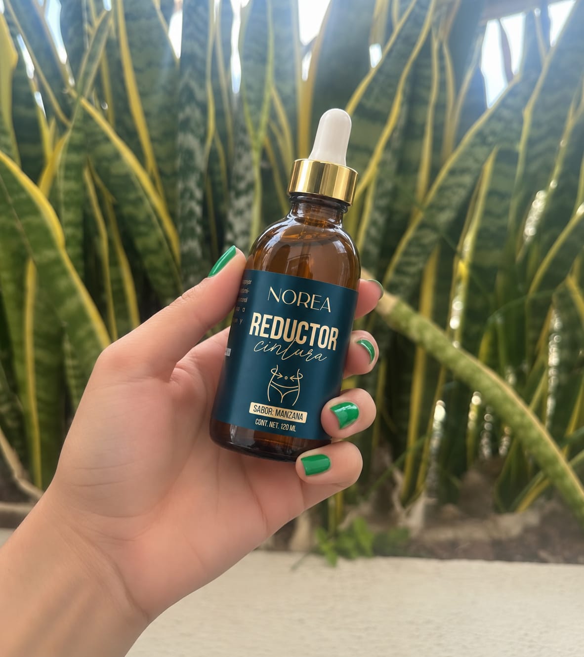 Customer photo review of Reductor Cintura