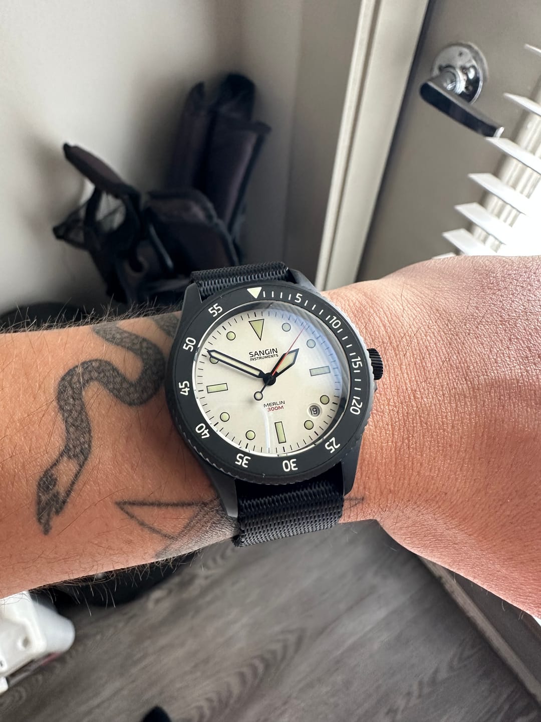 Customer photo review of Merlin (Private Release)