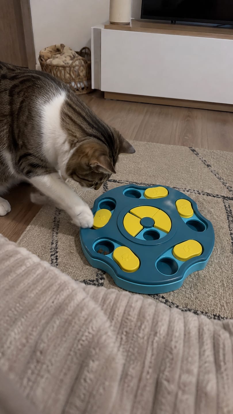 Customer photo review of Comedero Puzzle Antiestrés para Gatos