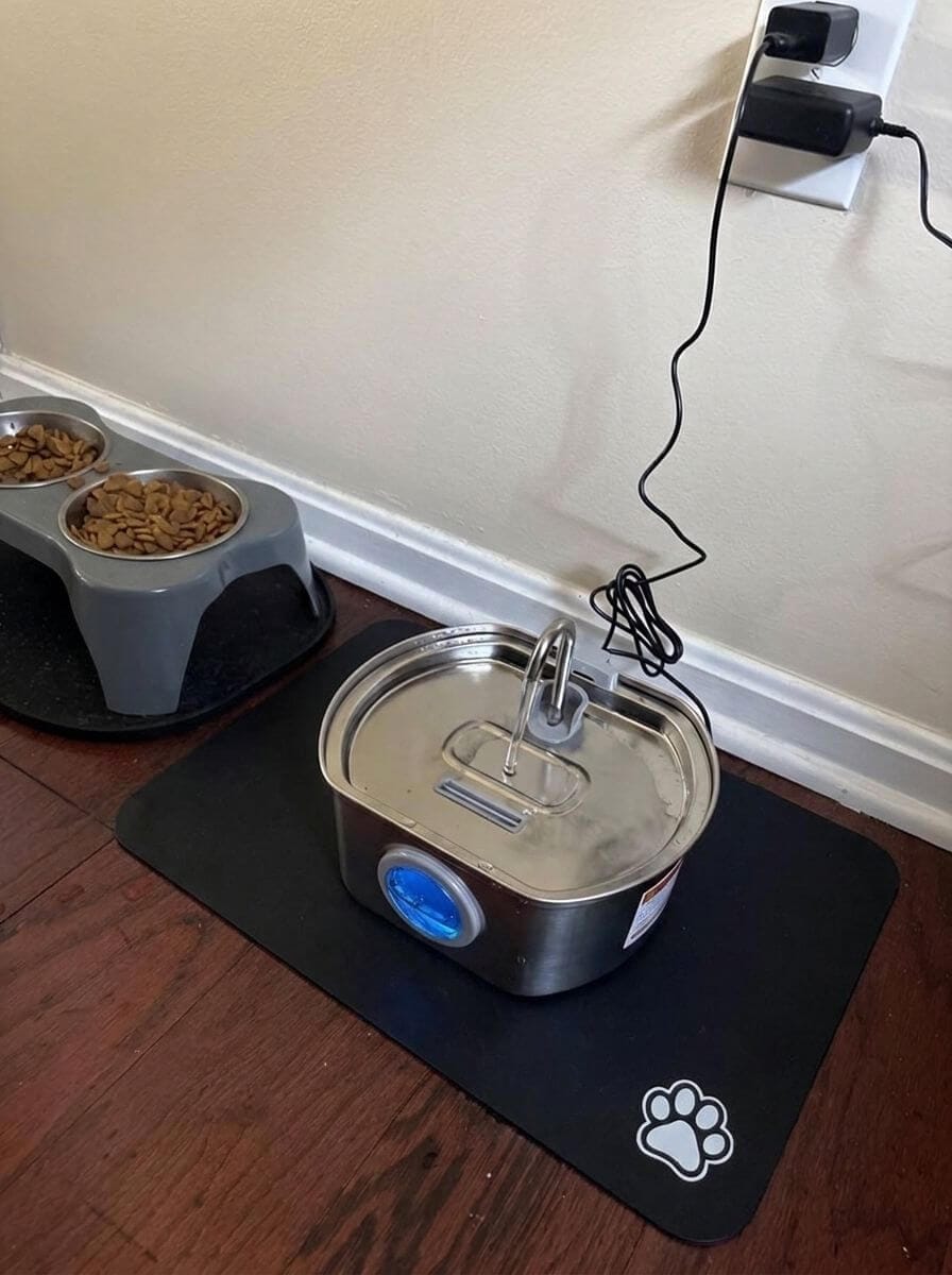Customer photo review of Purrsteel Fresh Water Fountain