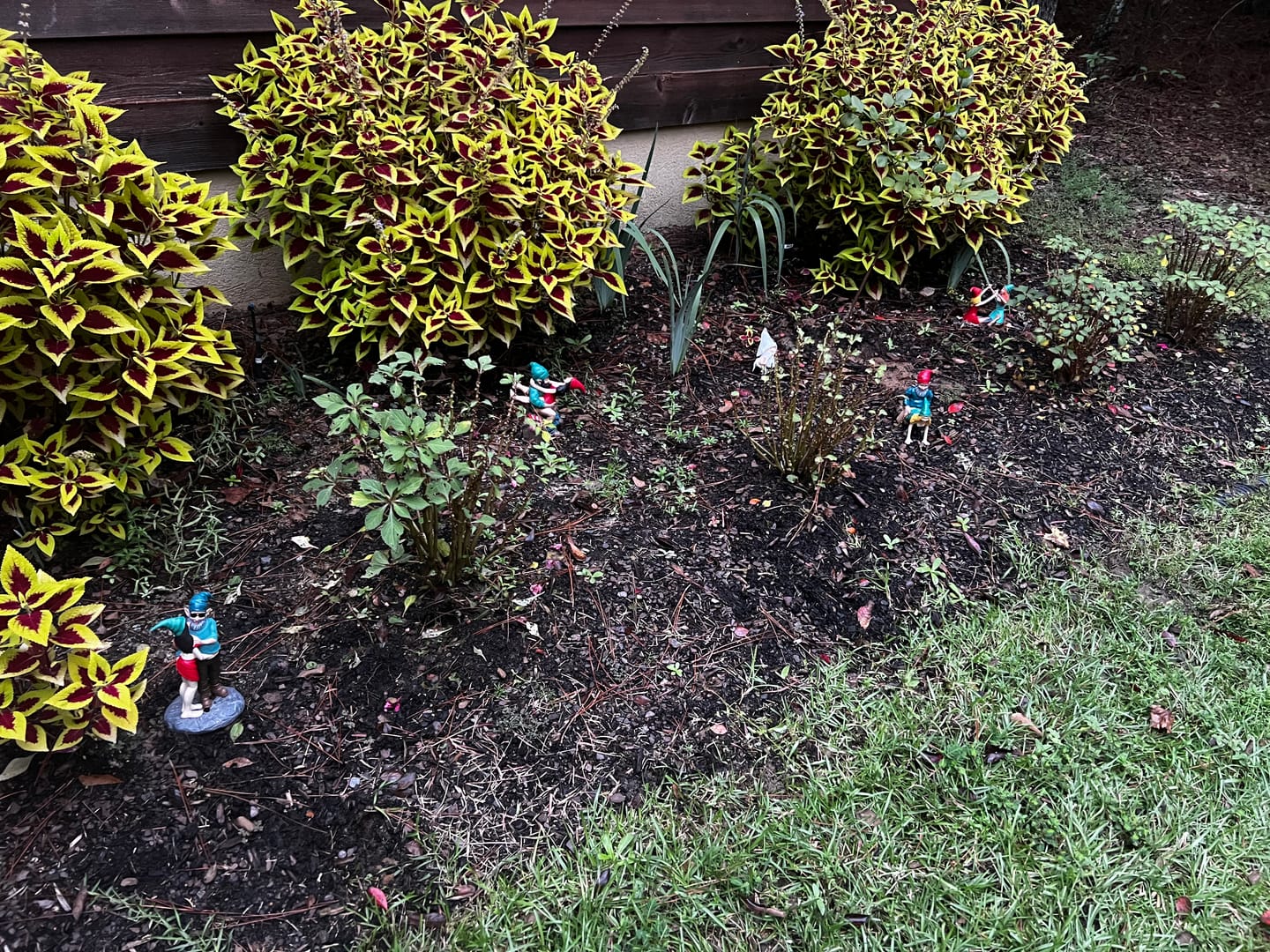 Customer photo review of Gnaughty Gnomes Monthly Surprise Subscription