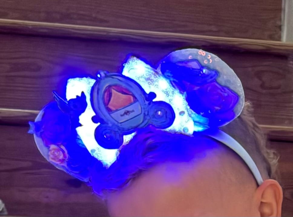 Customer photo review of Light Up Enchanted Carriage Ears