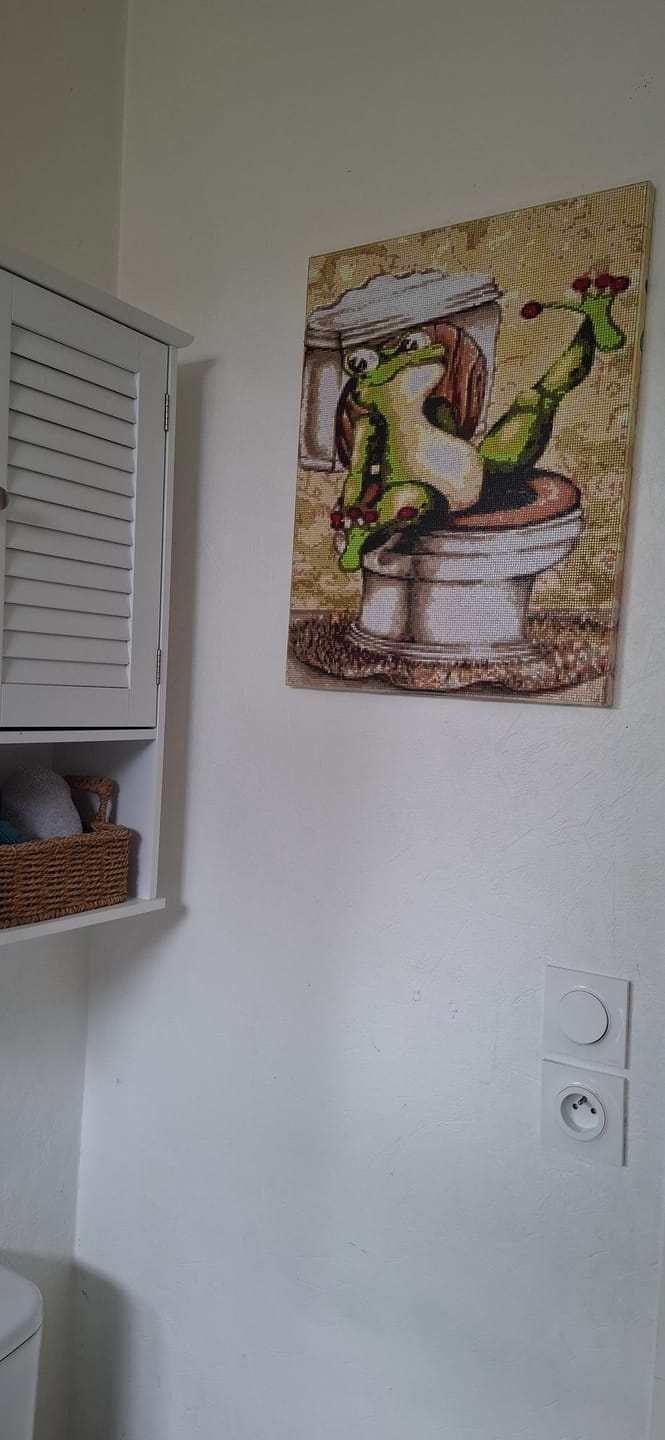 Customer photo review of Broderie Diamant - La Grenouille aux Toilettes 40x50cm toile tendue sur châssis