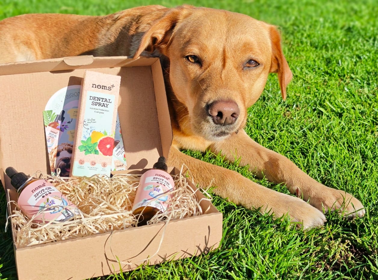 Customer photo review of Zpot-on für Hunde